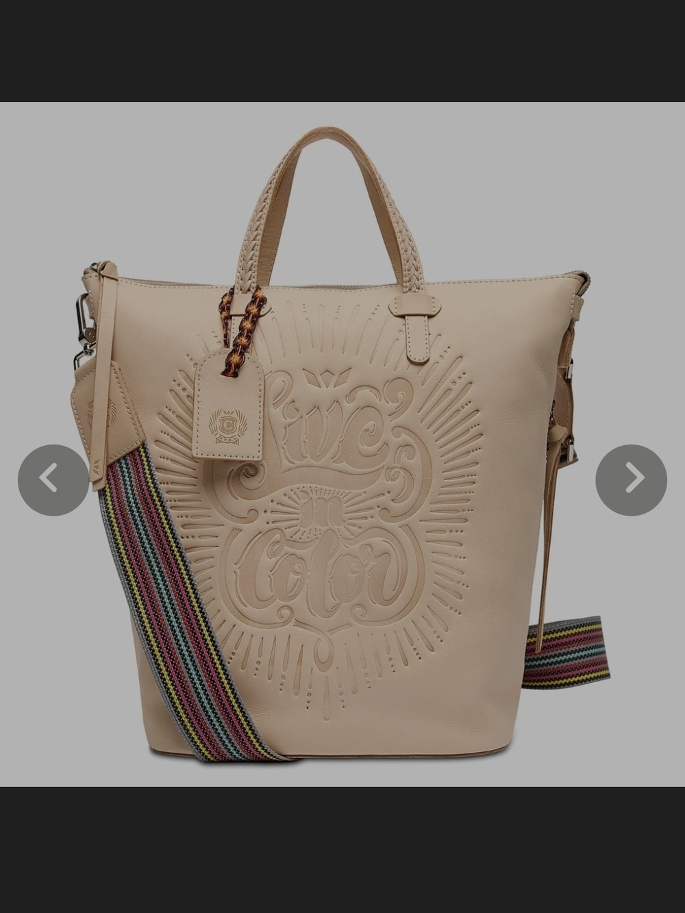 Live In Color Sling Bag Consuela New